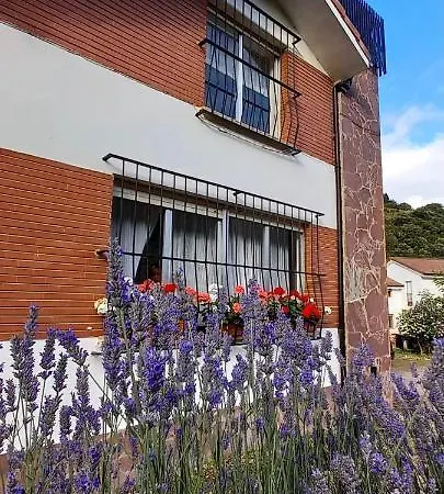 펜션 Casa De Belgas *