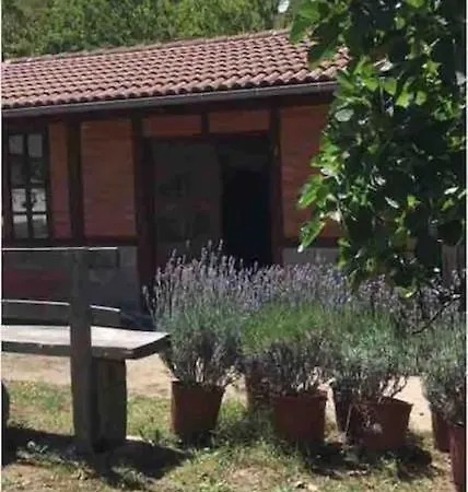 Casa De Belgas 펜션